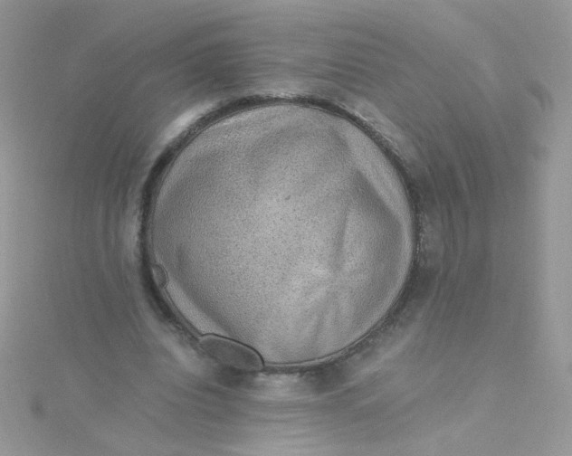 X0000115480440200911271331