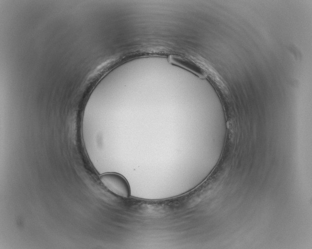 X0000115480442200911271331