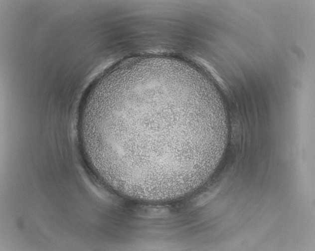 X0000115480443200911271331