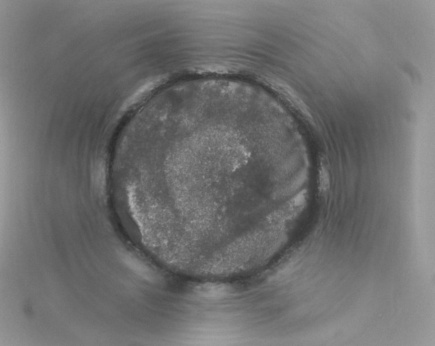 X0000115480444200911271331