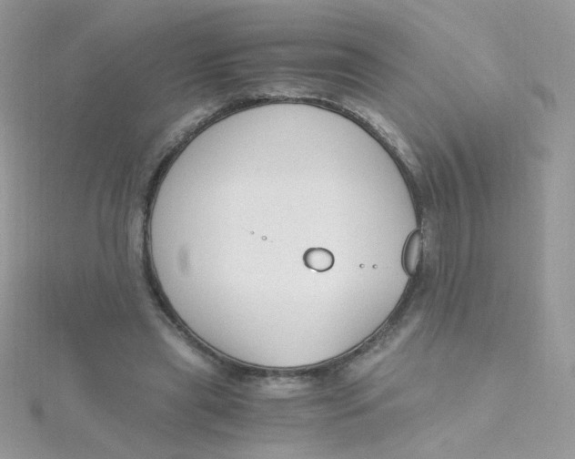 X0000115480445200911271331