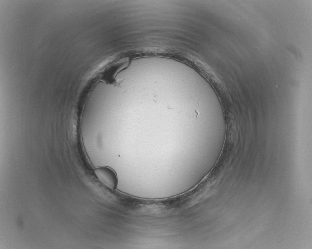 X0000115480446200911271331