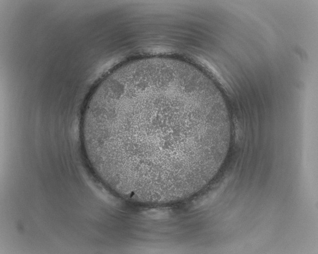 X0000115480447200911271331