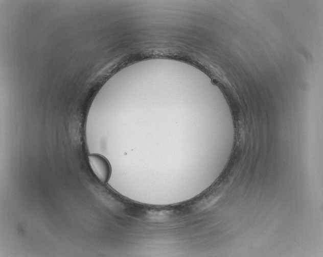 X0000115480450200911271331