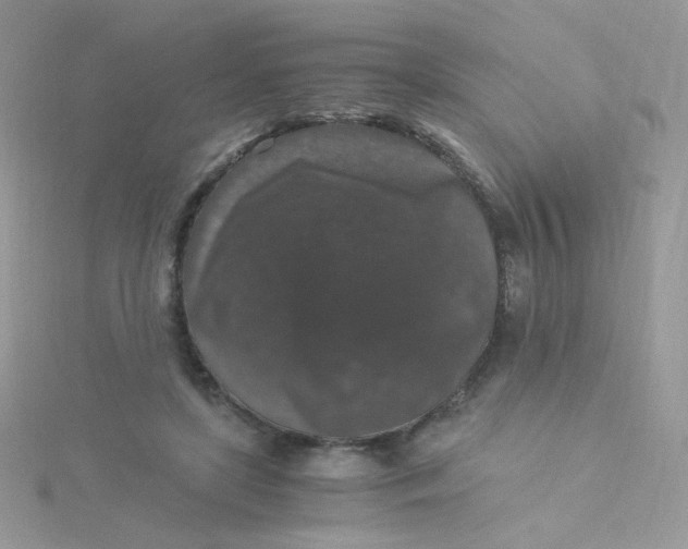 X0000115480451200911271331