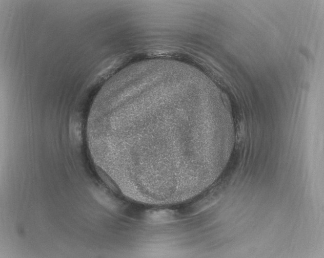 X0000115480452200911271331