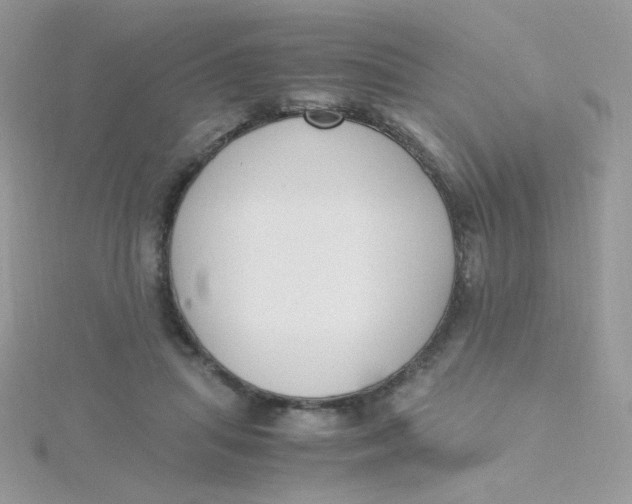 X0000115480455200911271332