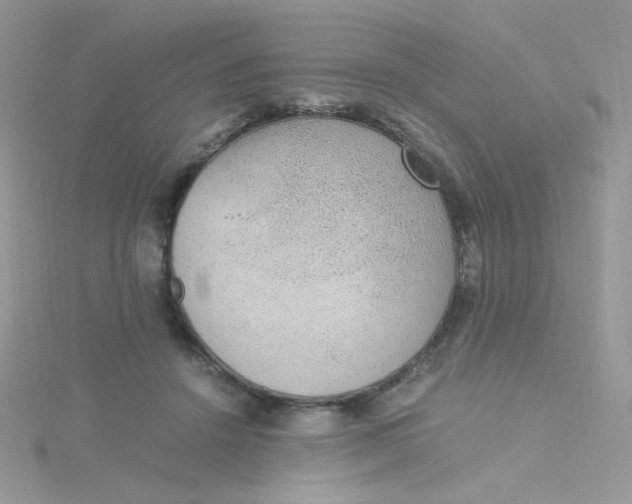 X0000115480456200911271332