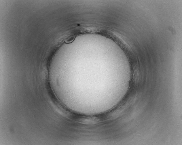 X0000115480459200911271332