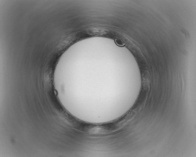 X0000115480460200911271332