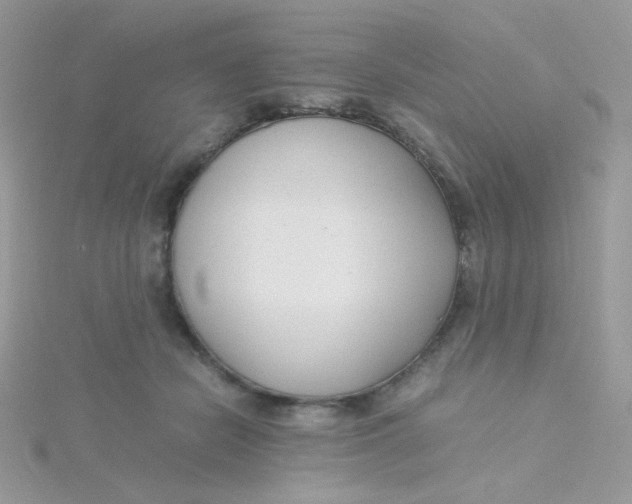 X0000115480462200911271332