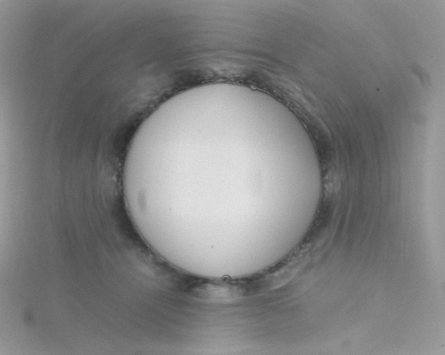 X0000115480464200911271332