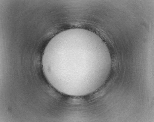 X0000115480466200911271332