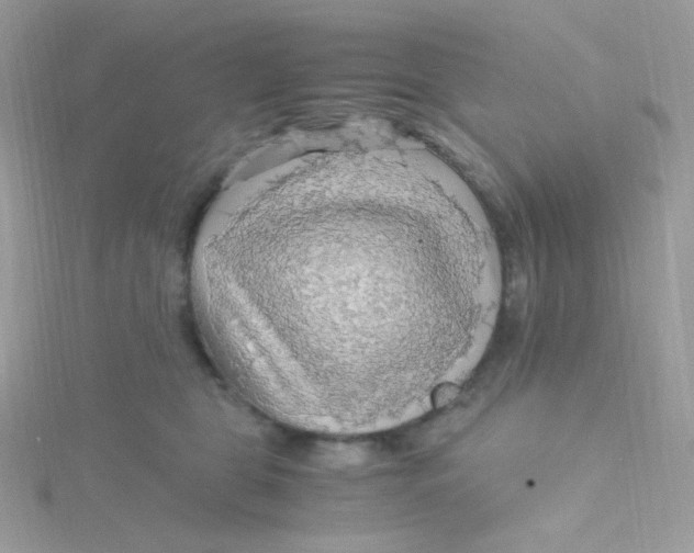 X0000115480469200911271332