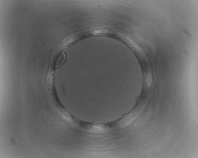 X0000115480475200911271332