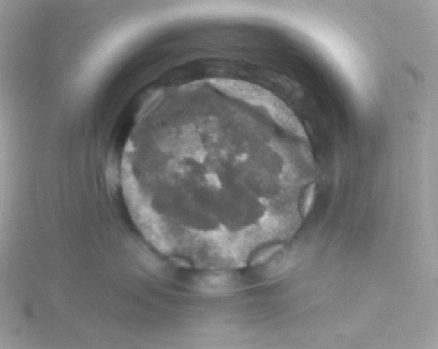 X0000115480479200911271332