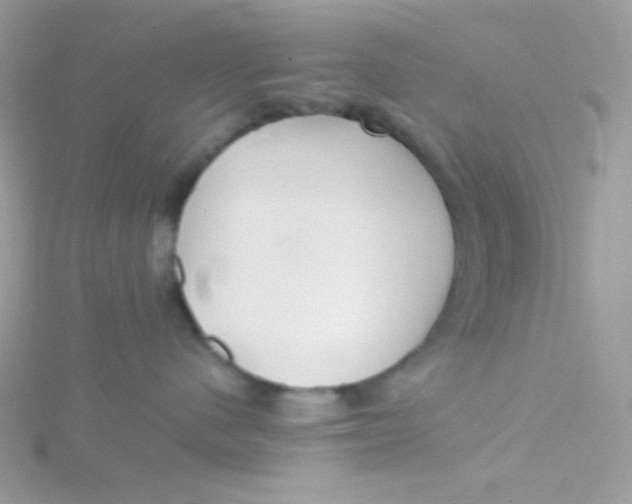 X0000115480480200911271332