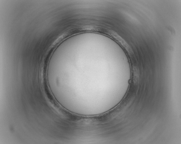 X0000115480482200911271331