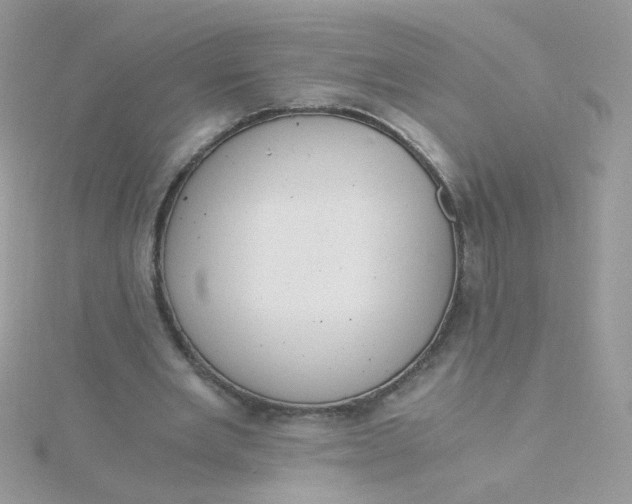 X0000115480485200911271331