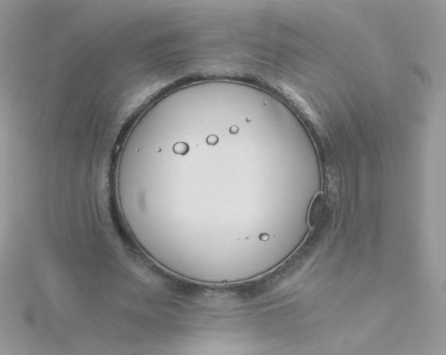 X0000115480487200911271331