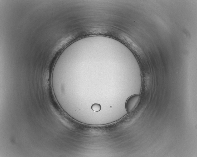 X0000115480490200911271331