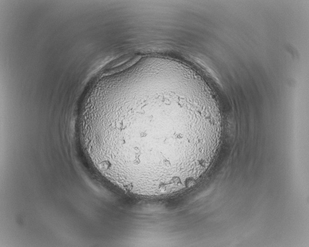 X0000115480491200911271331