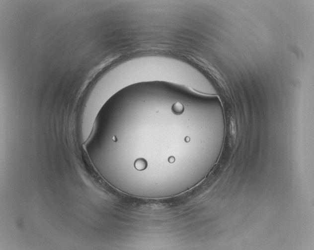 X0000115480492200911271331