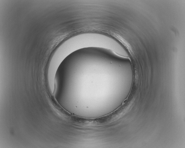 X0000115480493200911271331