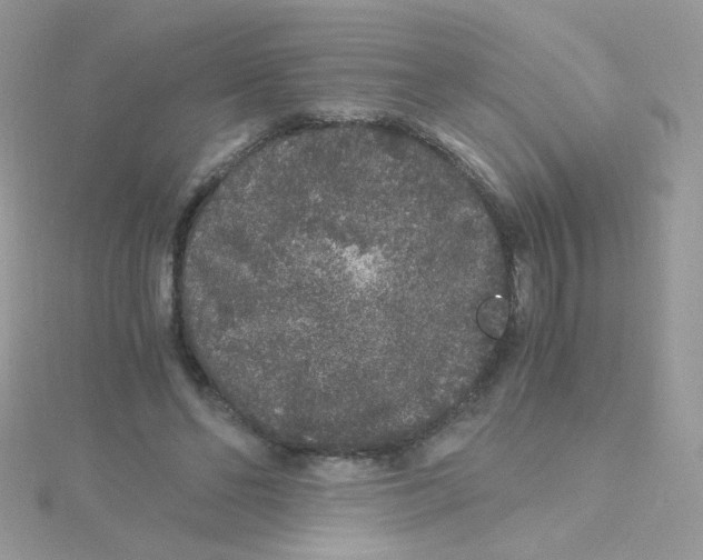 X0000115480494200911271331