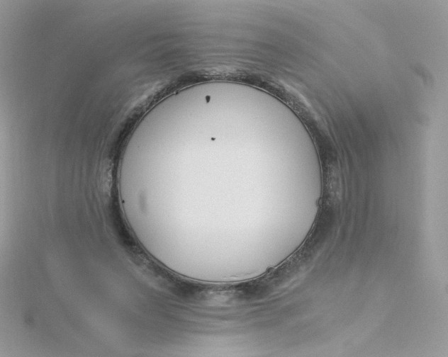 X0000115480495200911271331