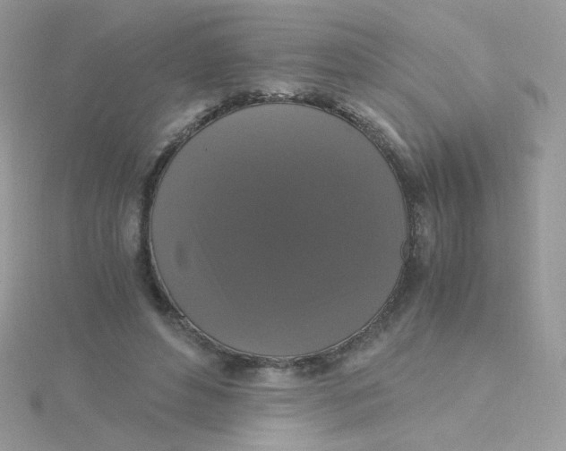 X0000115480496200911271331