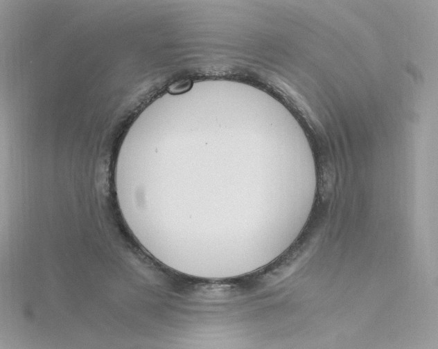 X0000115480497200911271331