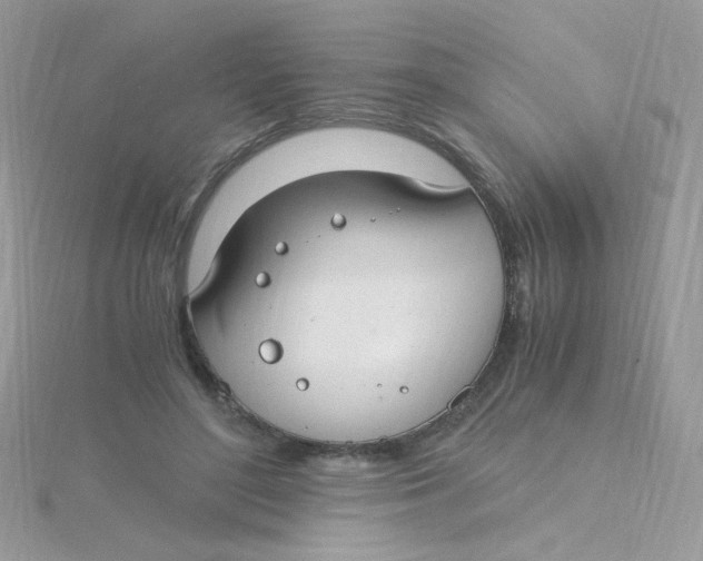 X0000115480500200911271331