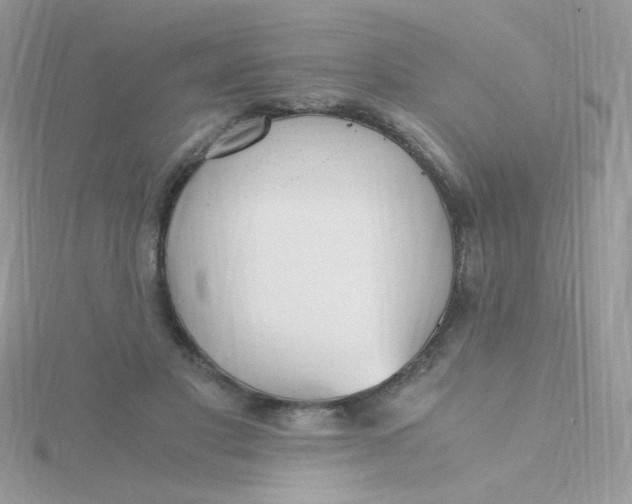 X0000115480501200911271331