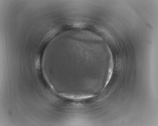 X0000115480502200911271331