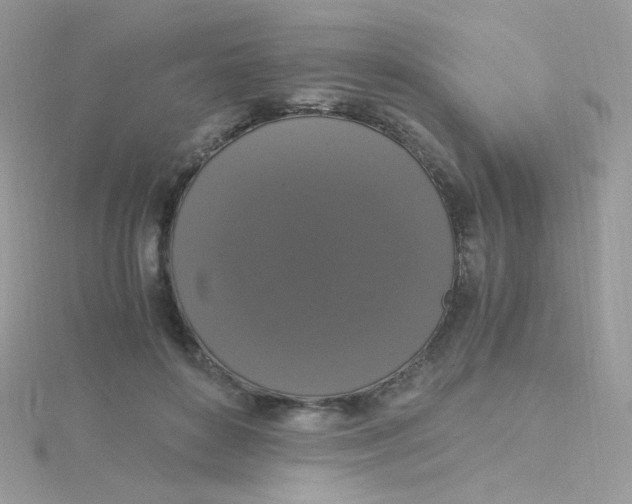 X0000115480504200911271331