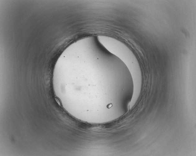 X0000115480505200911271331