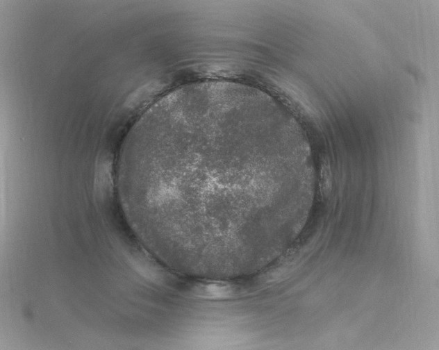 X0000115480506200911271331