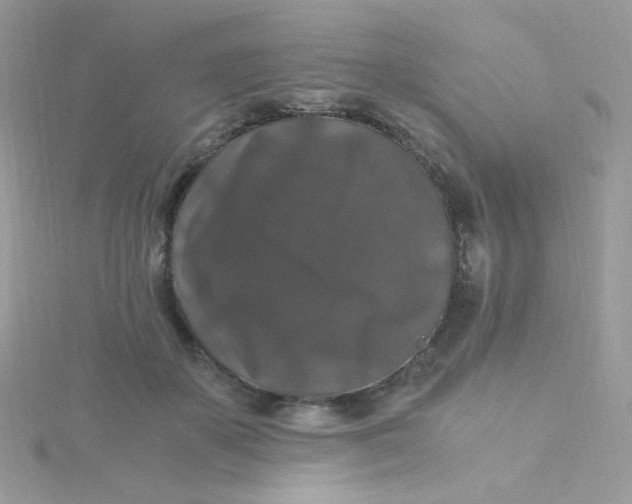 X0000115480507200911271331