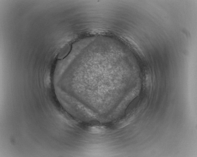 X0000115480508200911271331