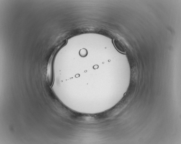 X0000115480509200911271331