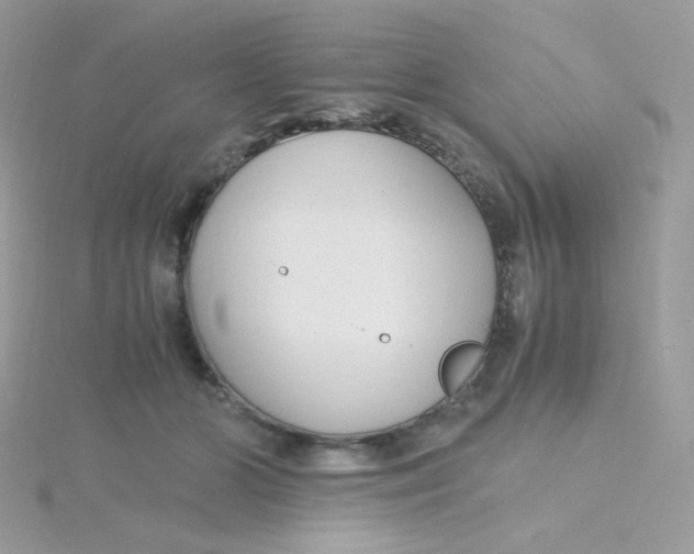 X0000115480510200911271331