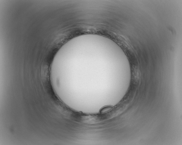 X0000115480511200911271331