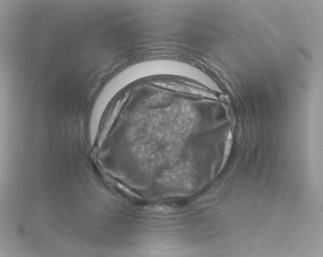 X0000115480512200911271331