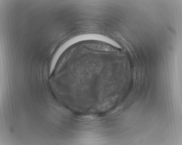 X0000115480516200911271331