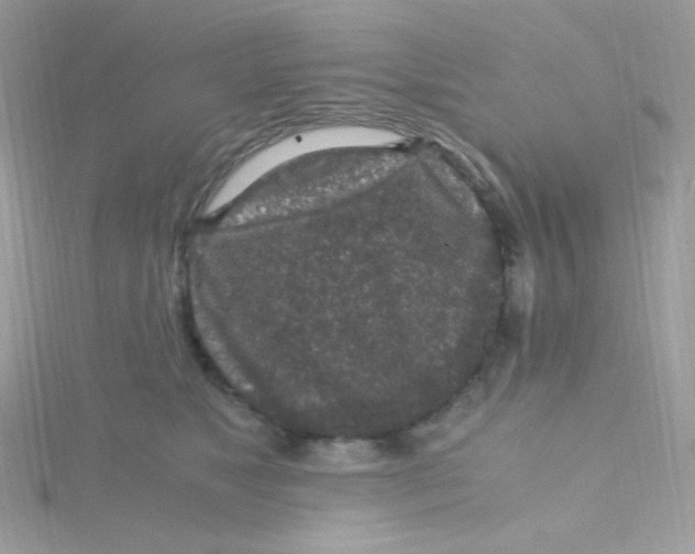 X0000115480517200911271331