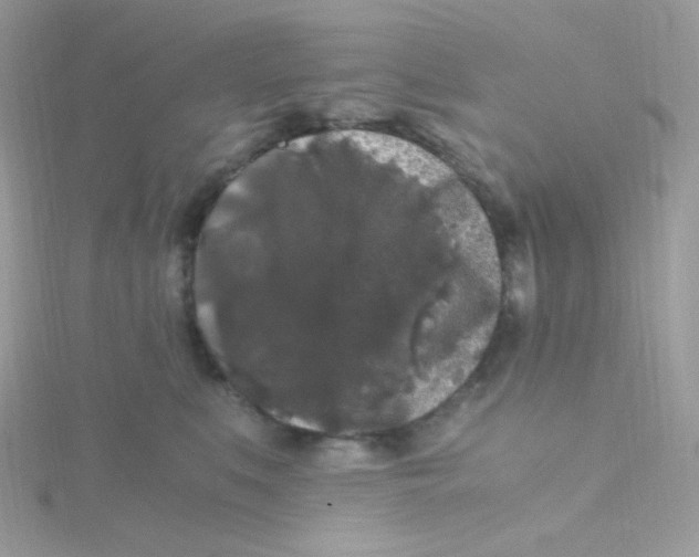 X0000115480519200911271331