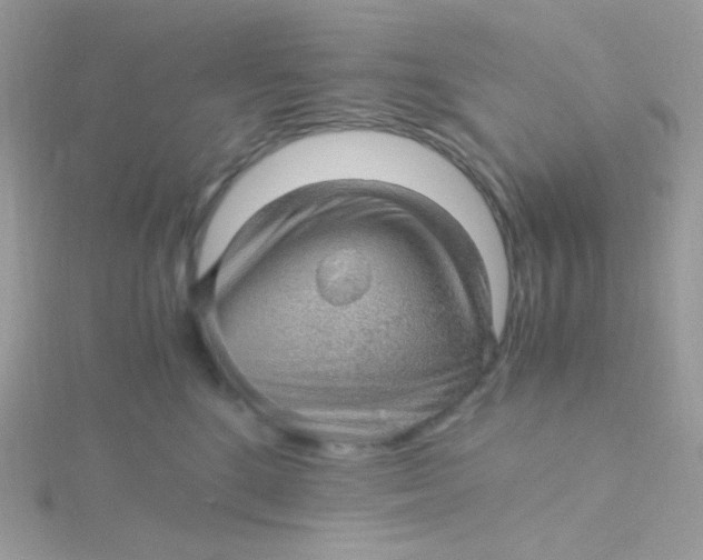 X0000115480520200911271331