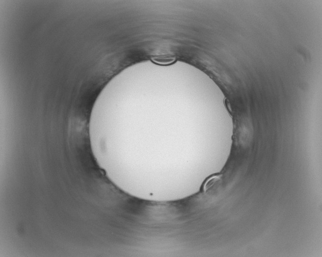 X0000115480521200911271331