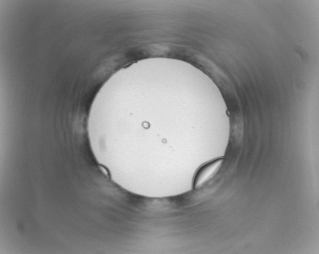 X0000115480525200911271330